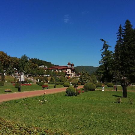 Apartamentul Alfa Slănic-Moldova Dış mekan fotoğraf