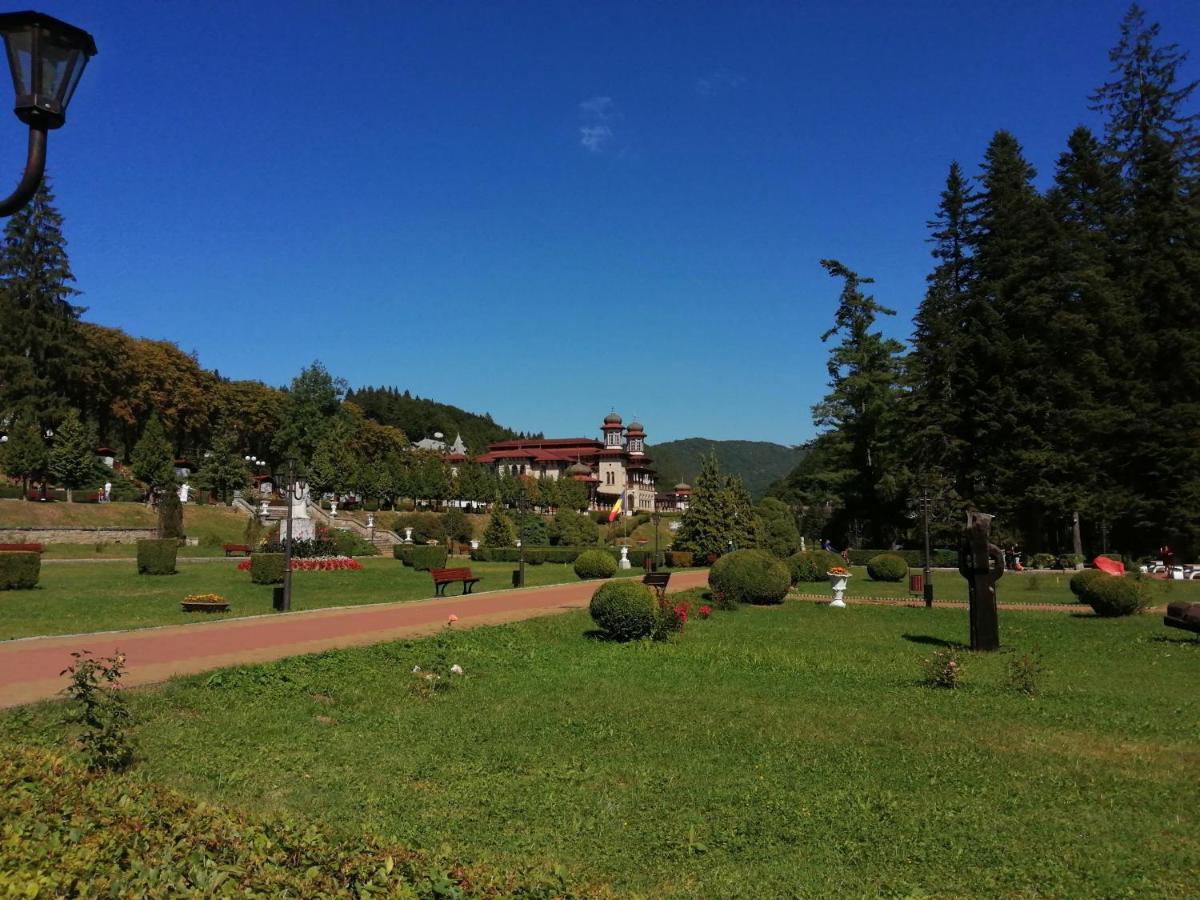 Apartamentul Alfa Slănic-Moldova Dış mekan fotoğraf