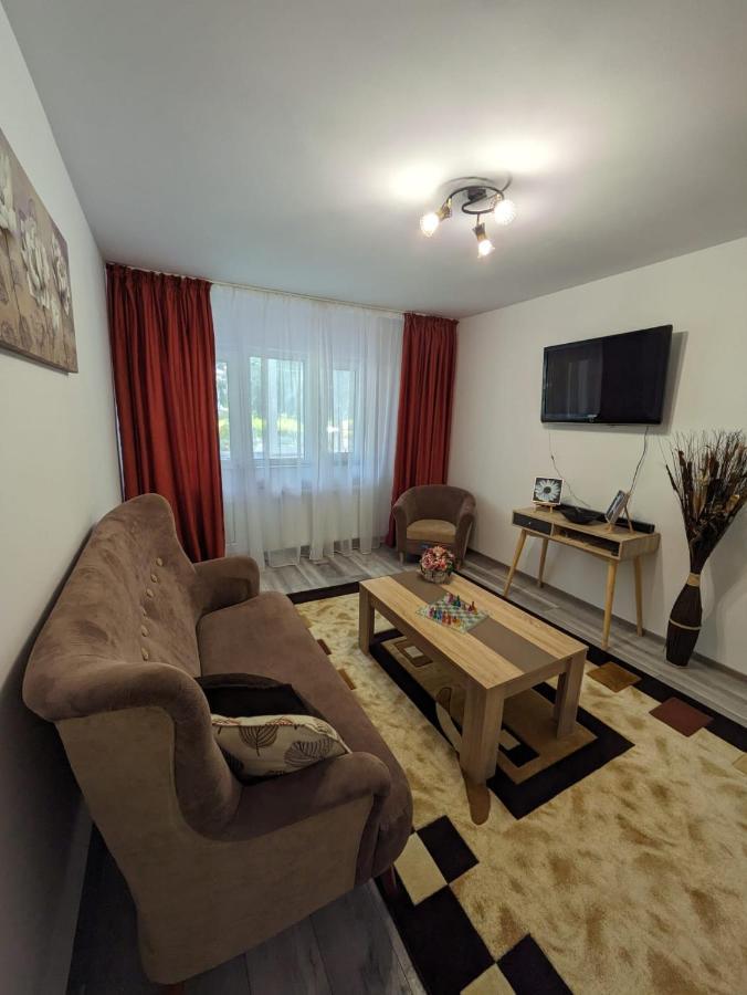 Apartamentul Alfa Slănic-Moldova Dış mekan fotoğraf