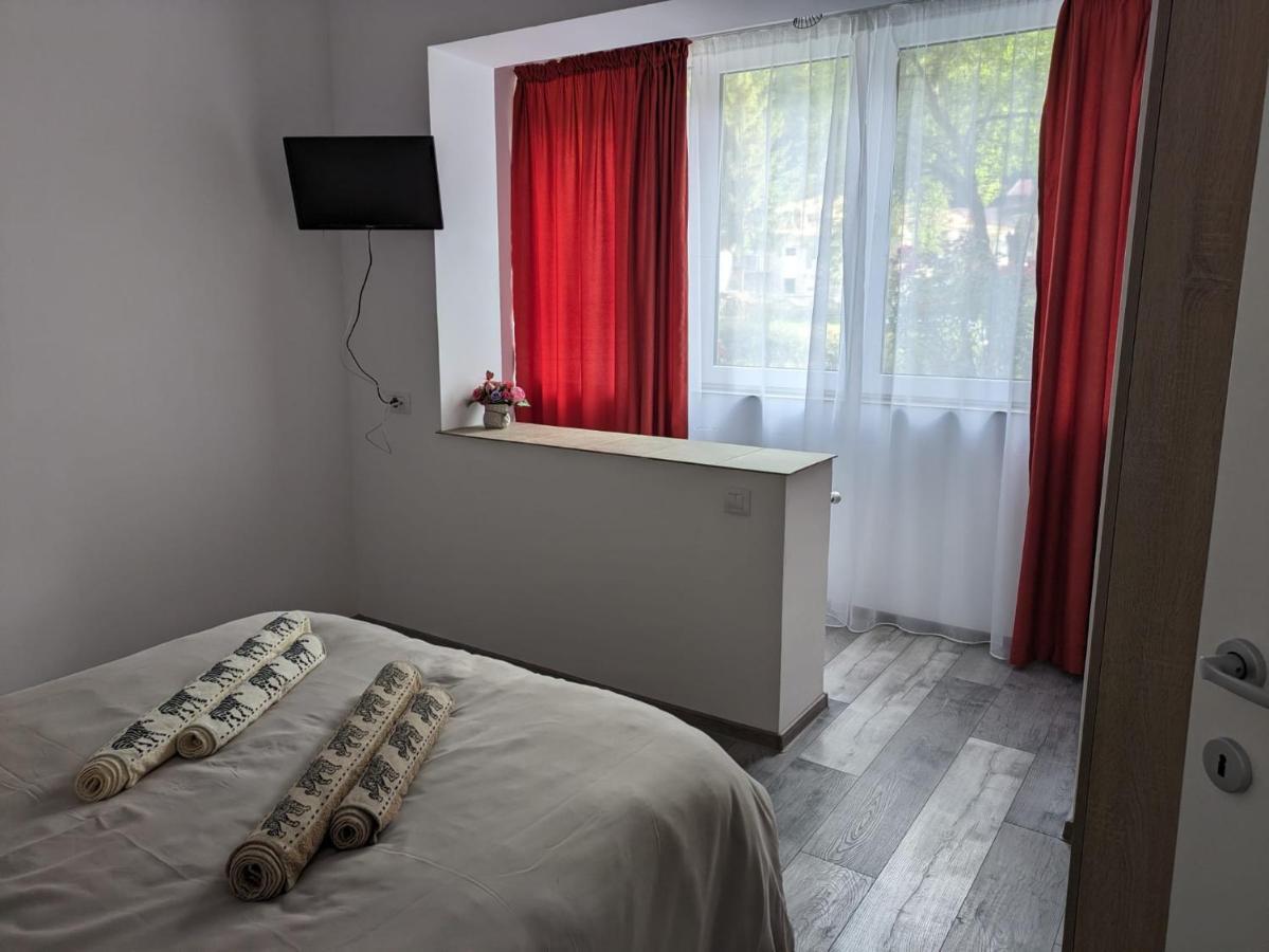 Apartamentul Alfa Slănic-Moldova Dış mekan fotoğraf
