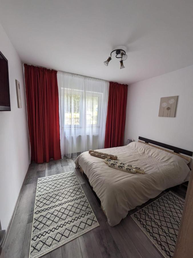 Apartamentul Alfa Slănic-Moldova Dış mekan fotoğraf