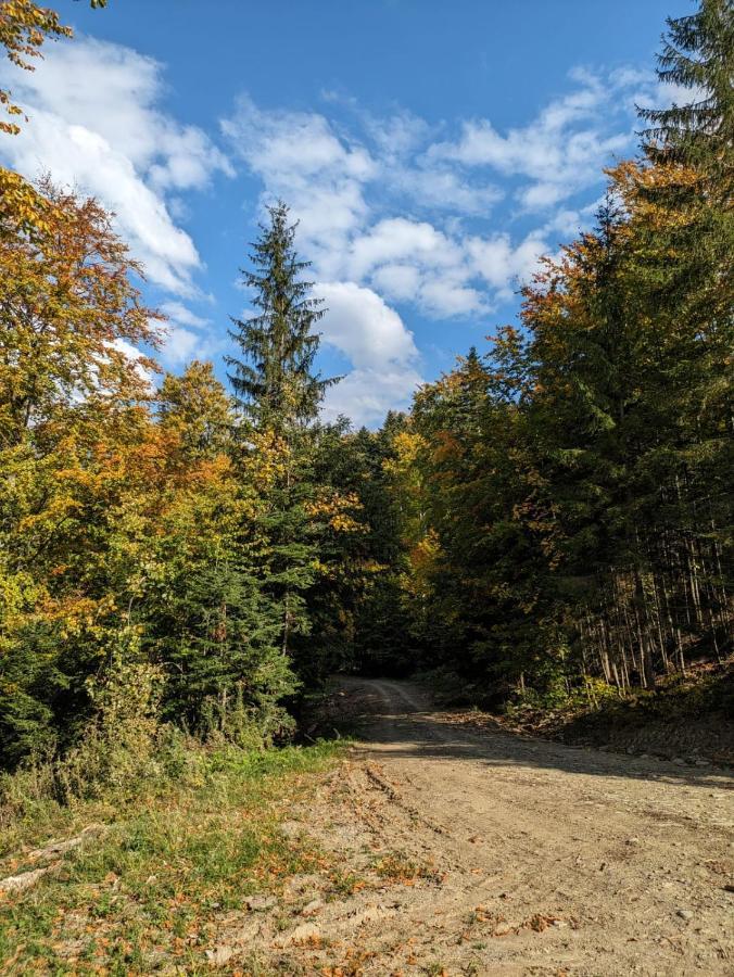 Apartamentul Alfa Slănic-Moldova Dış mekan fotoğraf
