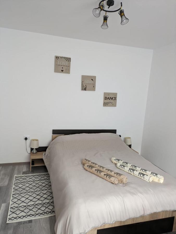 Apartamentul Alfa Slănic-Moldova Dış mekan fotoğraf